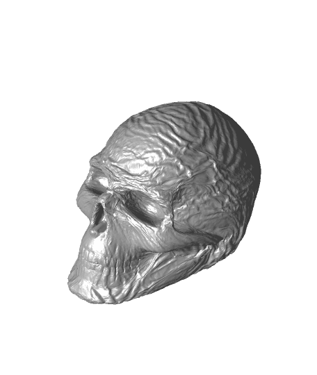 Wrinkled Skull by thecreatorx3d full viewable 3d model