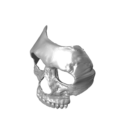 CoD_MWII_Ghost_Mask 3d model