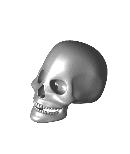 Skull 3d model