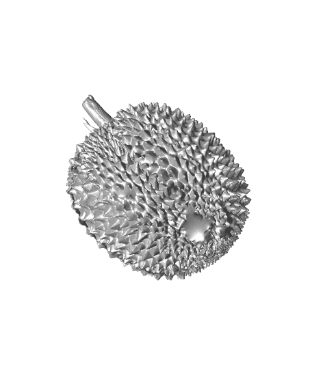 Durian（generated by Revopoint POP） 3d model