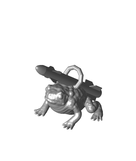 The Real Missile Toad 3d model