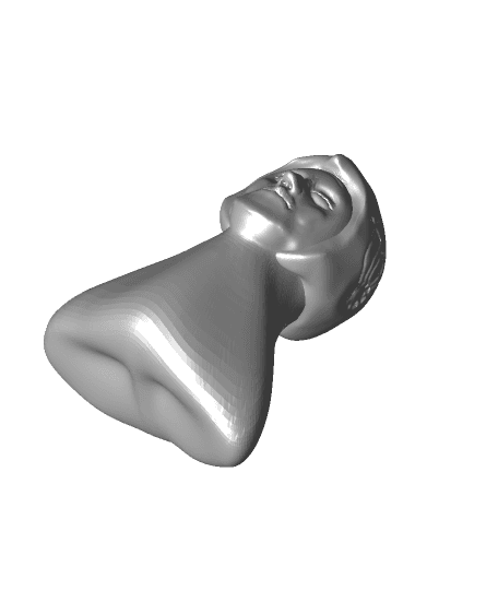 Human Head (4).stl by 2909867 full viewable 3d model