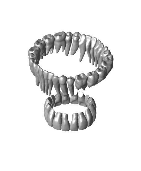 Cup of Teeth - Teacup 3d model