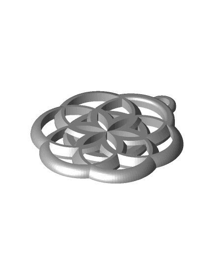 Circle Pattern Earrings 3d model