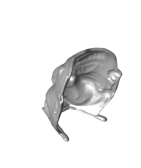 MASK（generated by Revopoint POP） 3d model