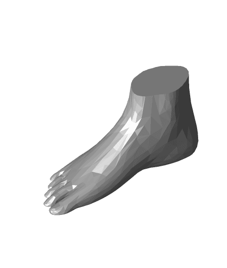 Foot Low.stl by jefferson.moraes full viewable 3d model