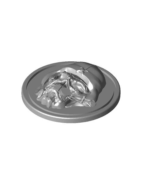 Skull Pilot Coin by KCWarthog3D full viewable 3d model