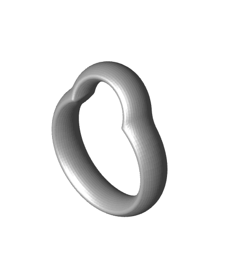 Shaped ring.stl 3d model