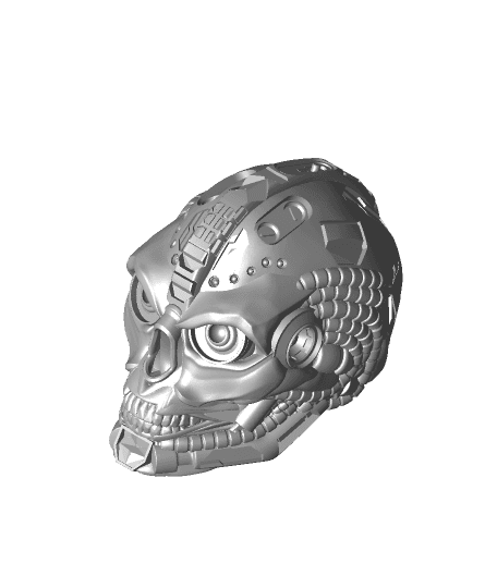 Cyber Skull Flat Bottom by thecreatorx3d full viewable 3d model