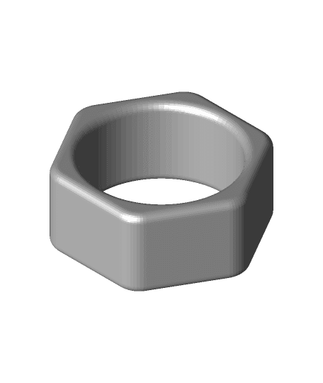 Hex Ring 3d model