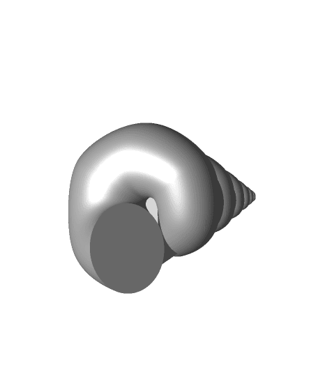 Long Spiral Nautilus 3d model