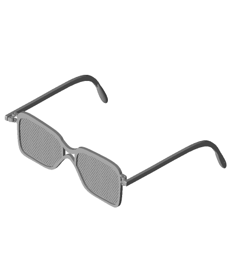 100% Printed Sunglasses 3d model