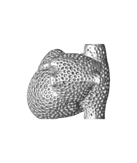 Anatomically Correct Voronoi Heart by DaveMakesStuff full viewable 3d model