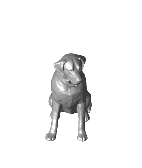 Labrador dog 3d model