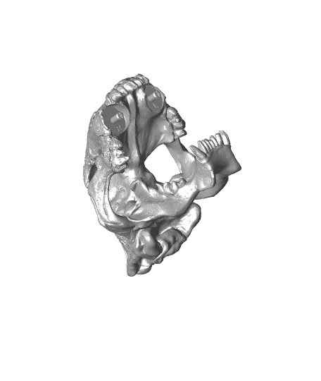 MiniSaberToothSkull.stl by tnightingale full viewable 3d model
