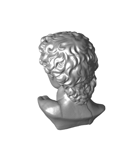 David（generated by Revopoint POP） 3d model
