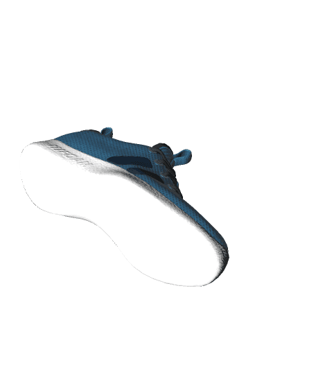 MaterialsVariantsShoe.glb 3d model
