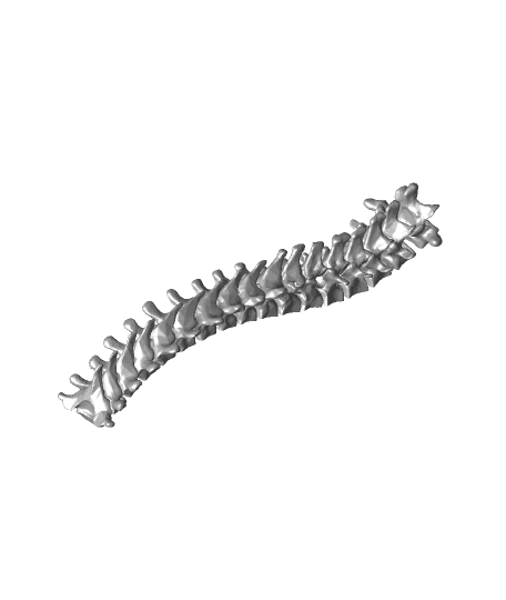 Wearable Spine by DaveMakesStuff full viewable 3d model