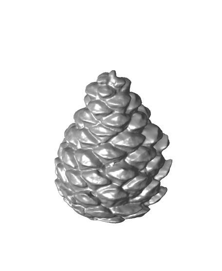 Tippi Tree Pine Cone Ornament 3d model