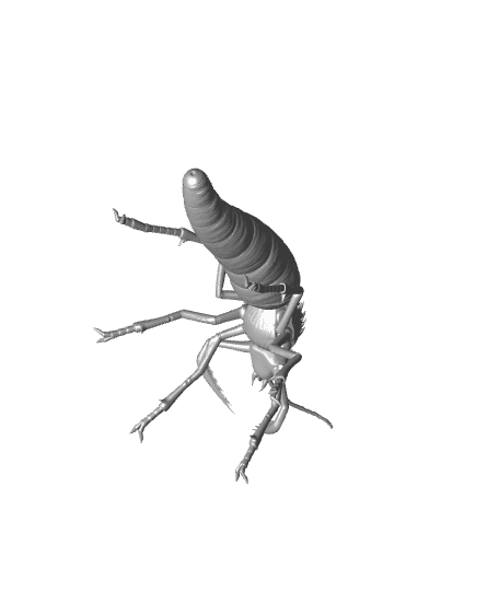 Giant Ant Queen no stand.stl 3d model