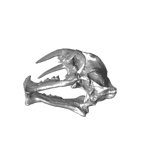 Pterodactyl（scanned by Revopoint POP 2） 3d model