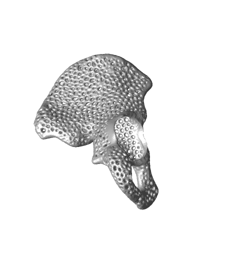 Pelvis Model with Adjustable Ball and Socket Acetabular Joint by DaveMakesStuff full viewable 3d model