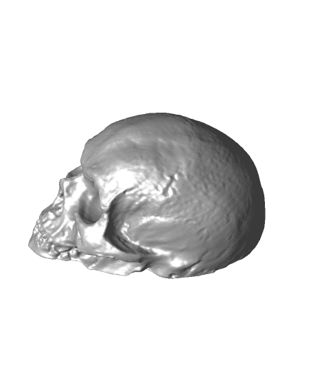 skull(2) 3d model