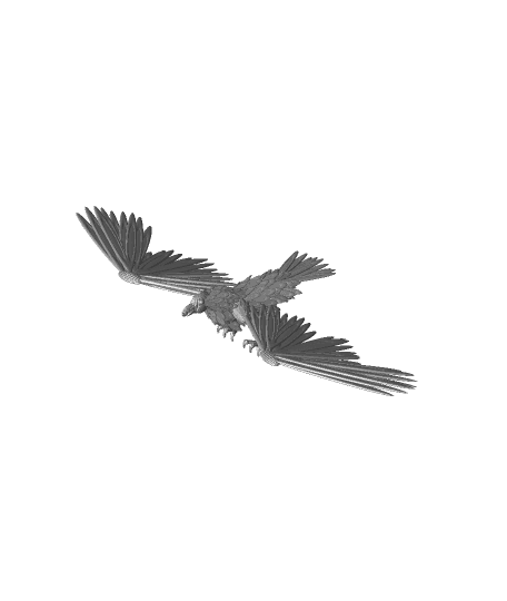 Raven Hawk 3d model