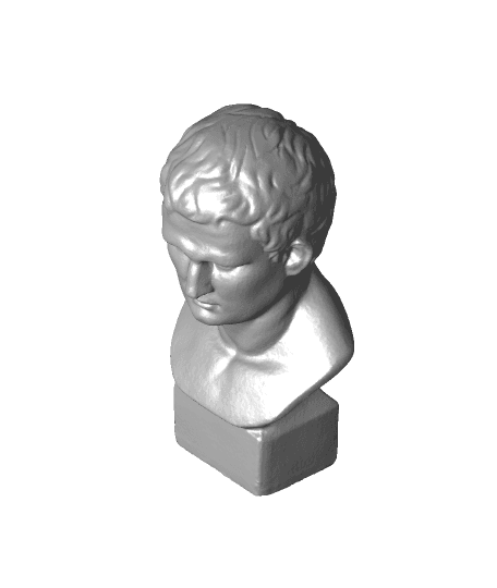 Agrippa （generated by Revopoint POP） 3d model