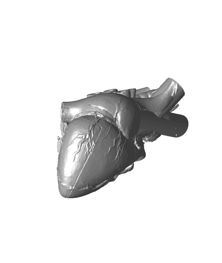 Heart_vase1 3d model
