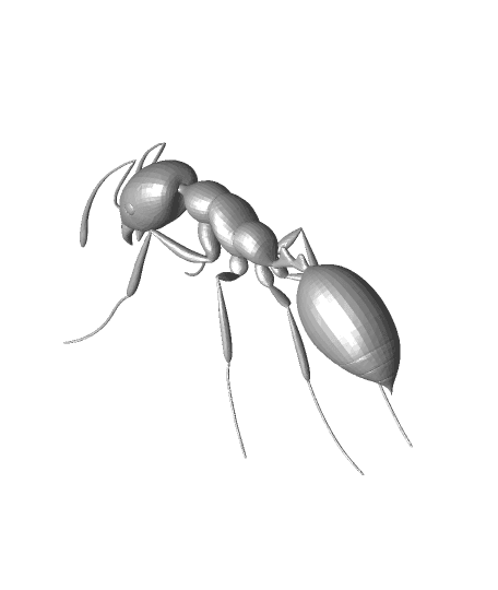 Red fire ant 3d model