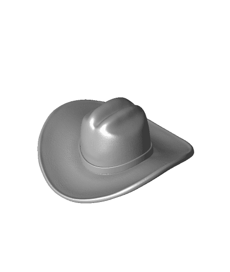 Modern Marvels - Cowboy Hat 3d model
