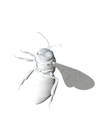 Bee.glb 3d model