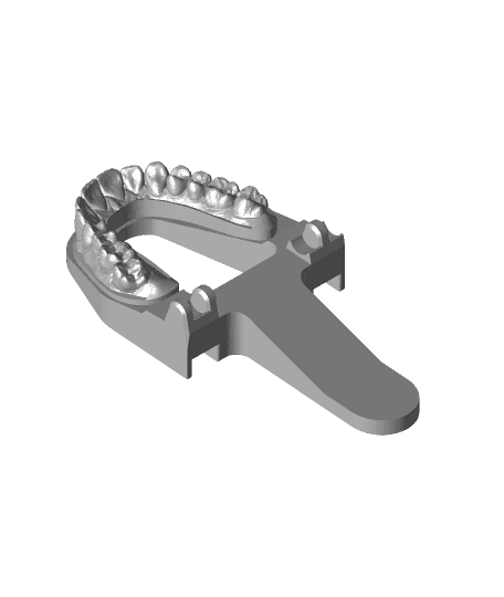 Mouth Chip Clip from 3D Scan of Teeth 3d model