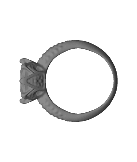 Ring（scanned by Revopoint MINI） by Revopoint full viewable 3d model
