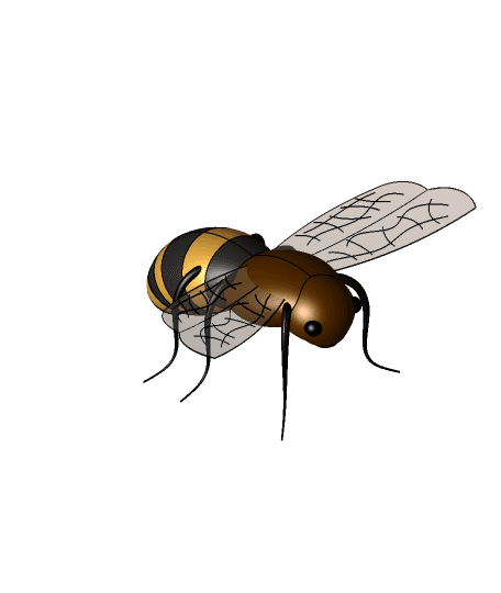 honey bee.x_t by saranjeetnavjotsimar full viewable 3d model