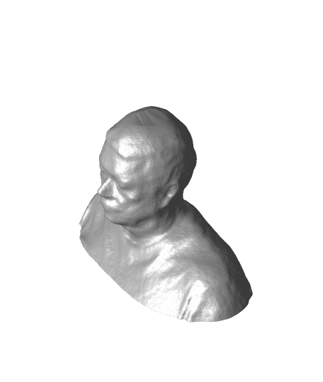 Bust print of myself by liggett1 full viewable 3d model