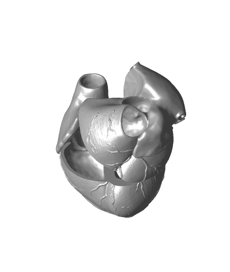 Open Heart Chocolate Box 3d model