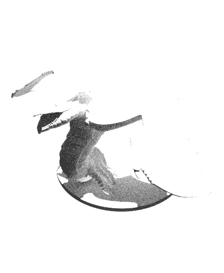 Cave Dragon by mz4250 full viewable 3d model