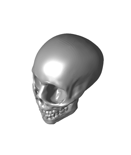 skull game anatomically inaccurate skull model 3d model