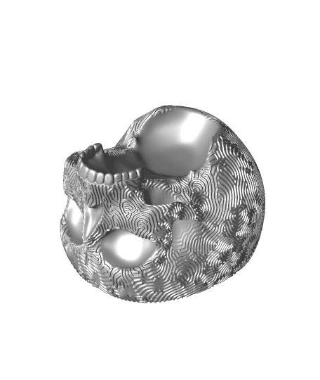 Maze Skull Planter-Bowl 3d model