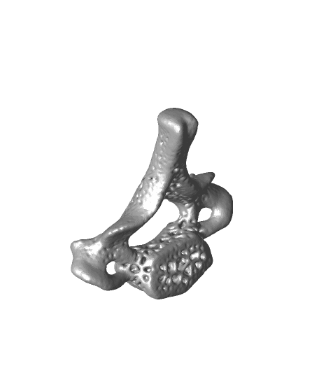 Voronoi Vertebrae (cervical) by DaveMakesStuff full viewable 3d model