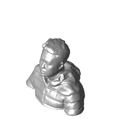 Bust（generated by Revopoint POP） 3d model