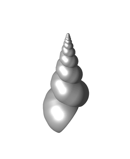 Turritellid Seashell (long) 3d model