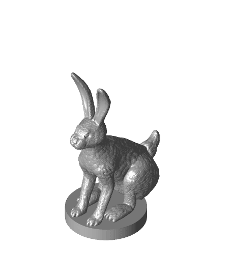 Jack Rabbit 3d model