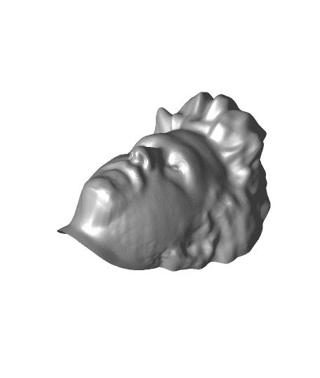 3d scanned head of an American Indian 3d model