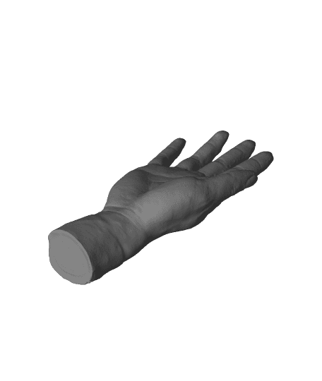 Hand model（scanned by Revopoint MINI） 3d model