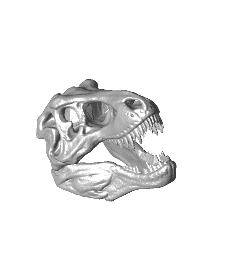 Tyrannosaurus skull（by Revopoint POP 2） 3d model