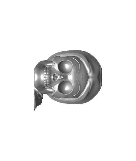 Lady Skull 2 3d model