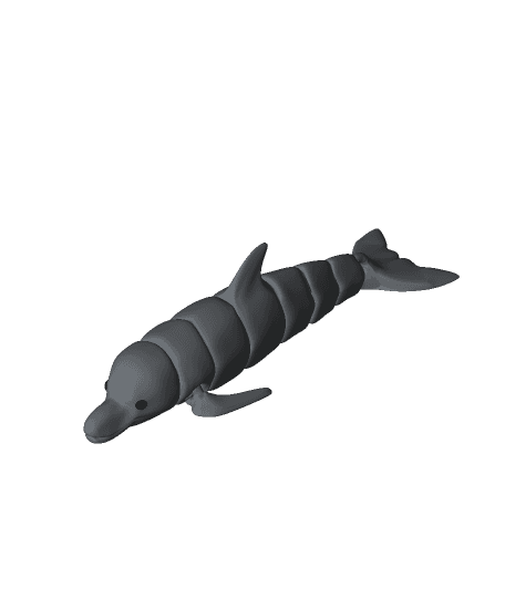 Clipper - Articulated Dolphin 3d model